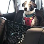 High Quality Premium Pet Car Net Petition - Image 5